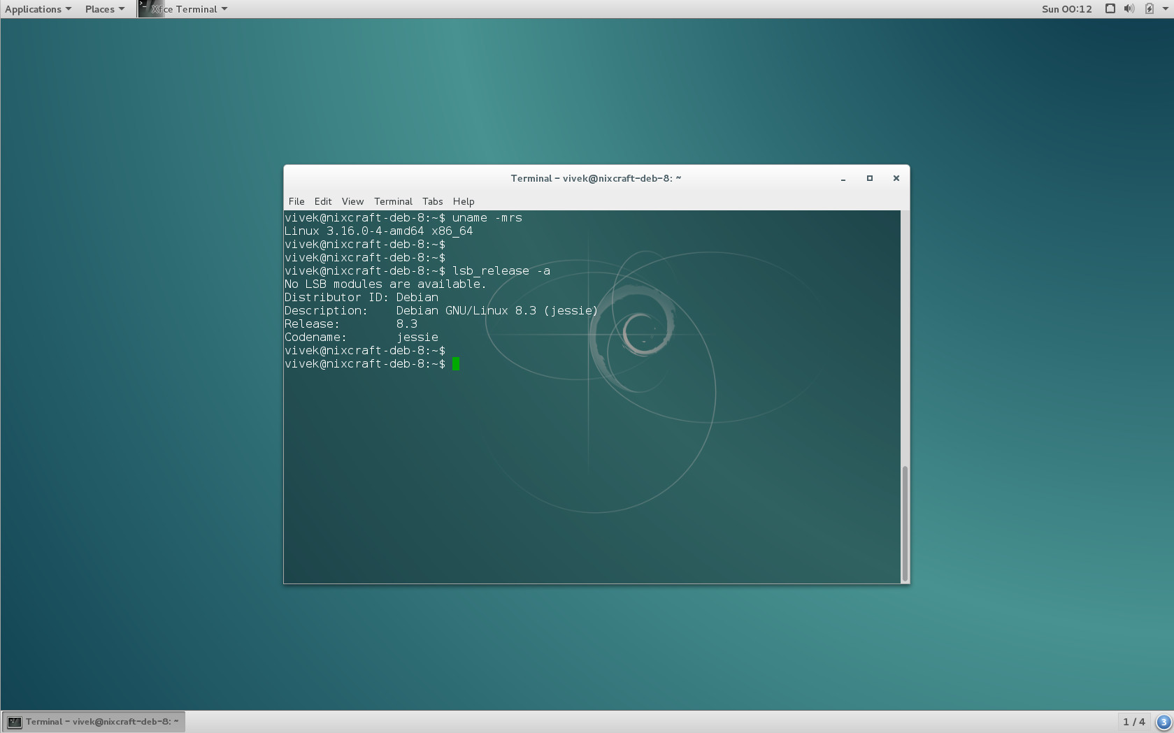Debian 8 iso install